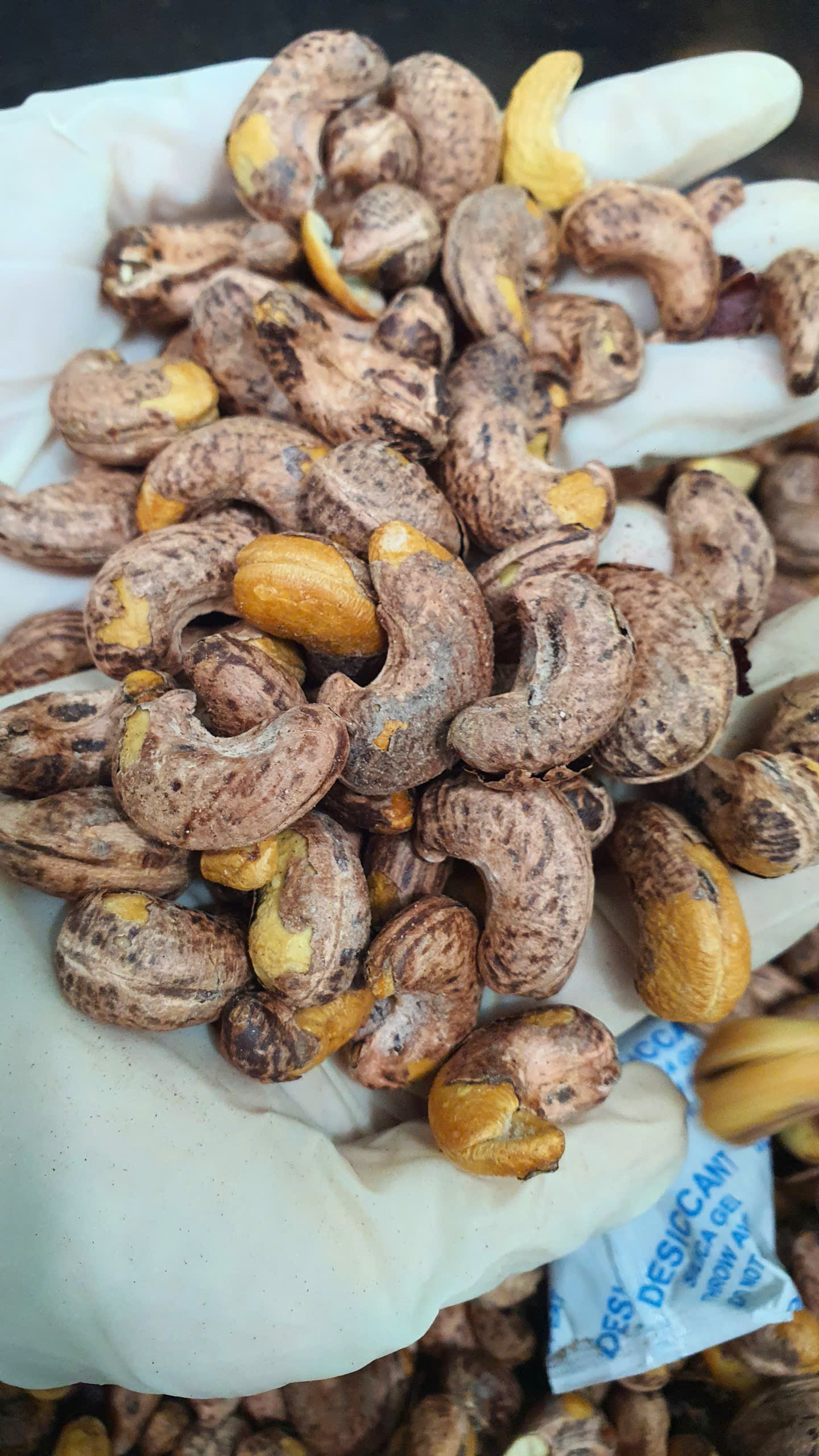 Hạt điều rang vỏ lụa